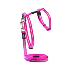 Rogz Alley Cat Harness & Lead -Vetn Pet Direct Store 764667
