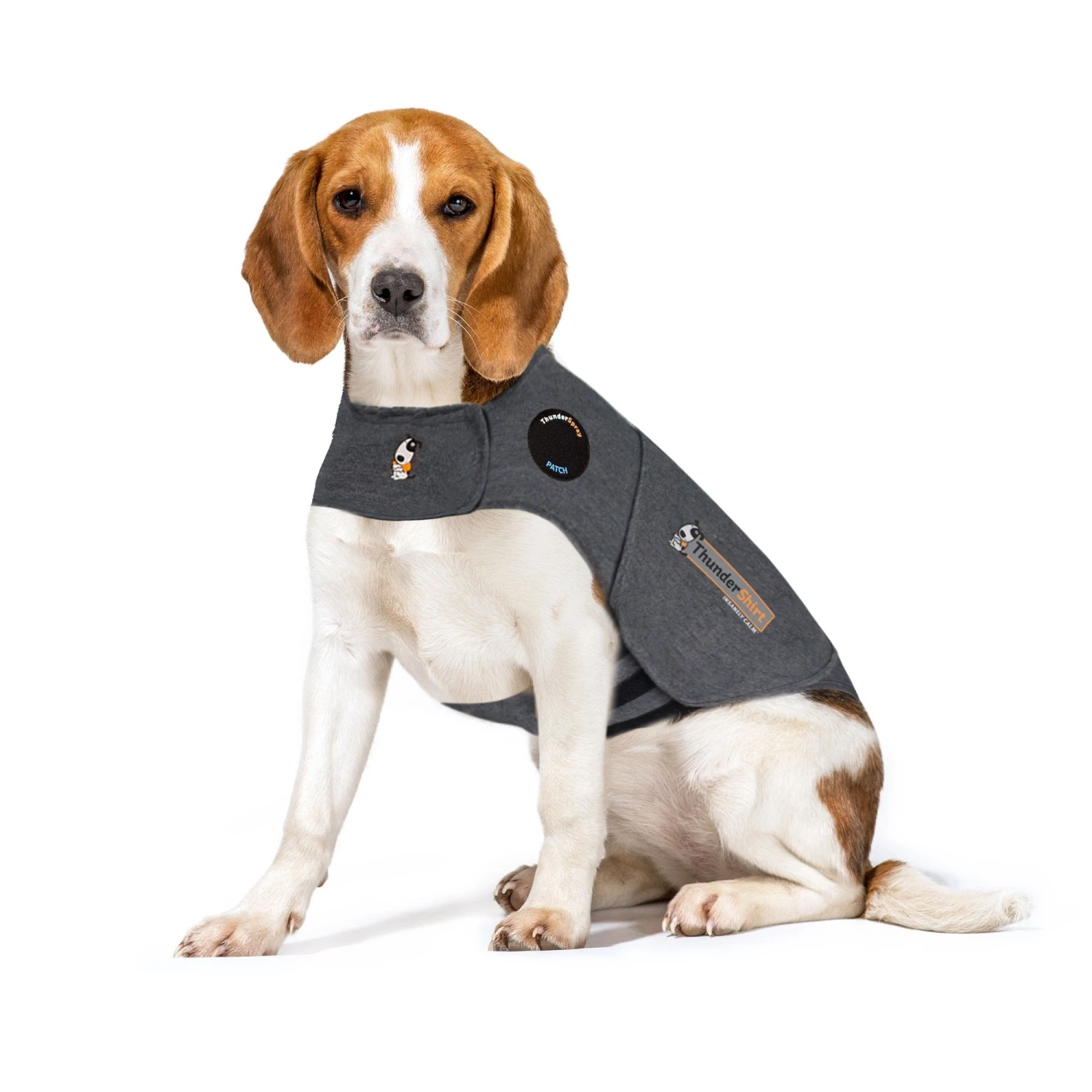 Thundershirt For Dogs 1 Thundershirt For Dogs