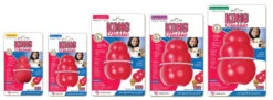 KONG Classic Red 16 KONG Classic Red -Vetn Pet Direct Store 7839