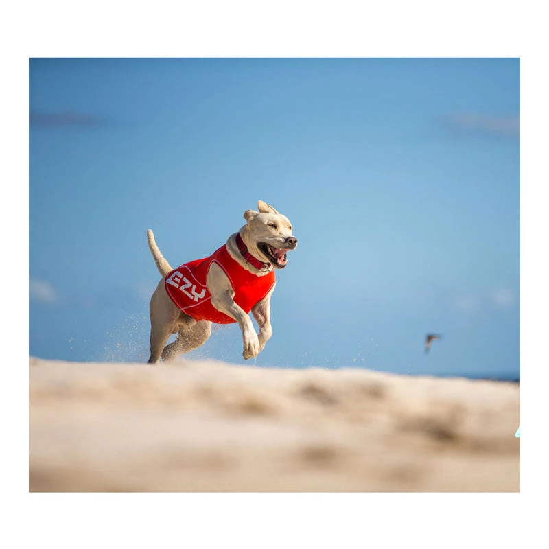 EzyDog Rashie Vest For Dogs 8 EzyDog Rashie Vest For Dogs - Image 8