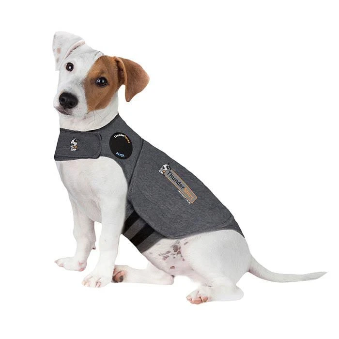 Thundershirt For Dogs 8 Thundershirt For Dogs - Image 8