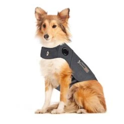 Thundershirt For Dogs 21 Thundershirt For Dogs -Vetn Pet Direct Store 896228