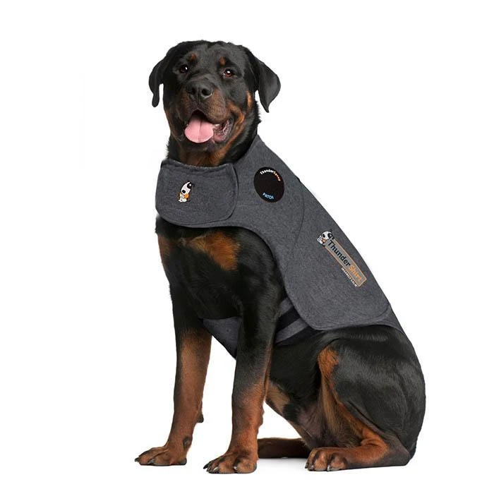 Thundershirt For Dogs 12 Thundershirt For Dogs - Image 12