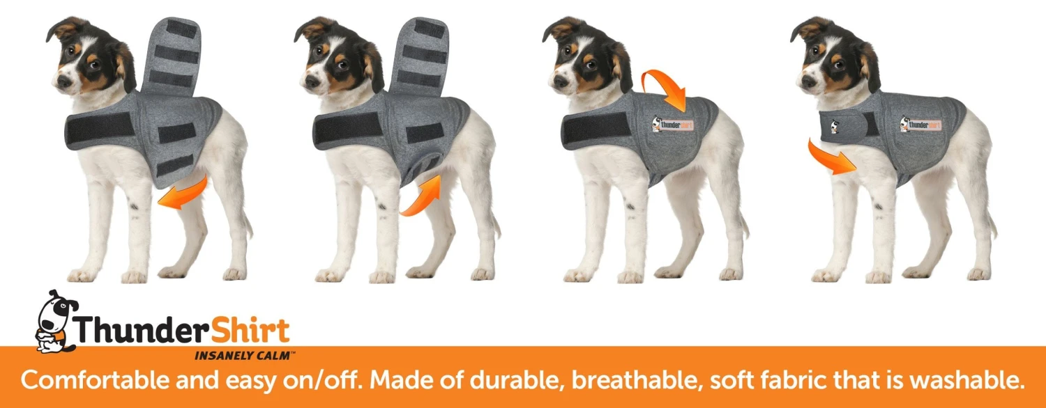 Thundershirt For Dogs 4 Thundershirt For Dogs - Image 4