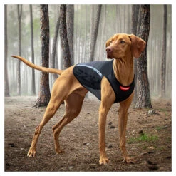 EzyDog Thermax Vest 8 EzyDog Thermax Vest -Vetn Pet Direct Store 906978