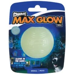 Chuckit! Max Glow Ball