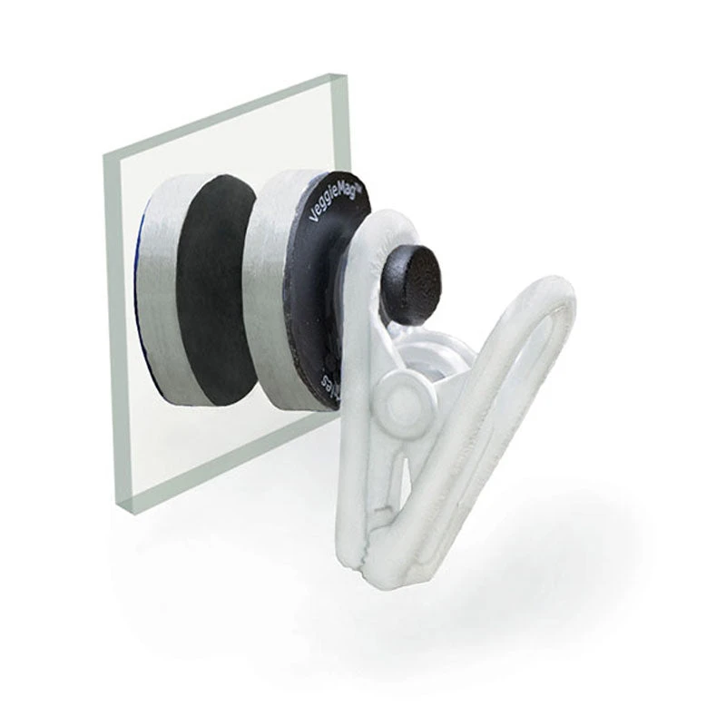 Veggie Mag With Sea Veggies Clip 1 Veggie Mag With Sea Veggies Clip