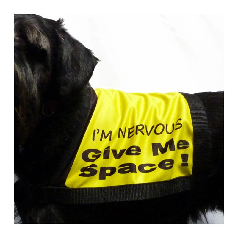 Black Dog Wear Give Me Space Vest 3 Black Dog Wear Give Me Space Vest - Image 3