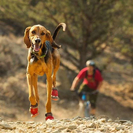 Ruffwear Grip Trex Dog Boots - PAIRS 2 Ruffwear Grip Trex Dog Boots - PAIRS - Image 2