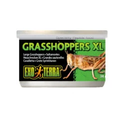 Exo Terra Grasshoppers -Vetn Pet Direct Store 926451