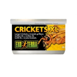Exo Terra Crickets 5 Exo Terra Crickets -Vetn Pet Direct Store 926460