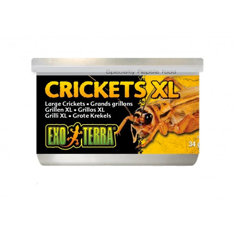 Exo Terra Crickets 3 Exo Terra Crickets - Image 3