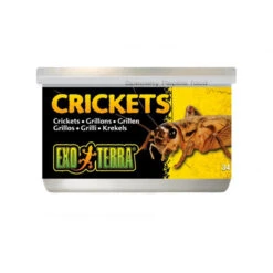 Exo Terra Crickets