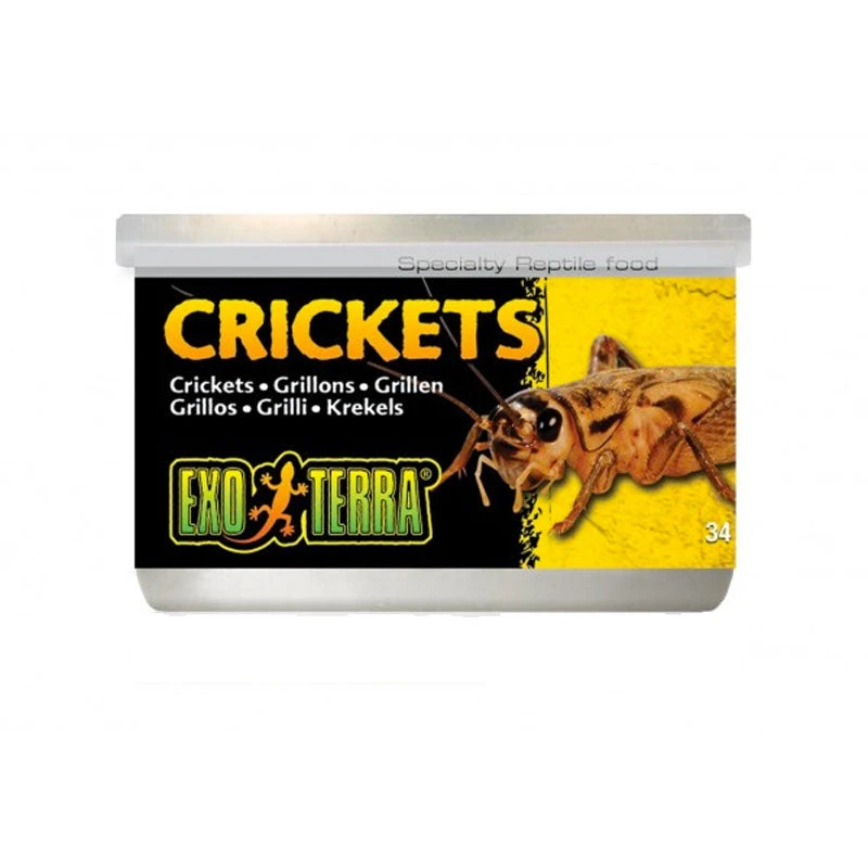 Exo Terra Crickets 1 Exo Terra Crickets