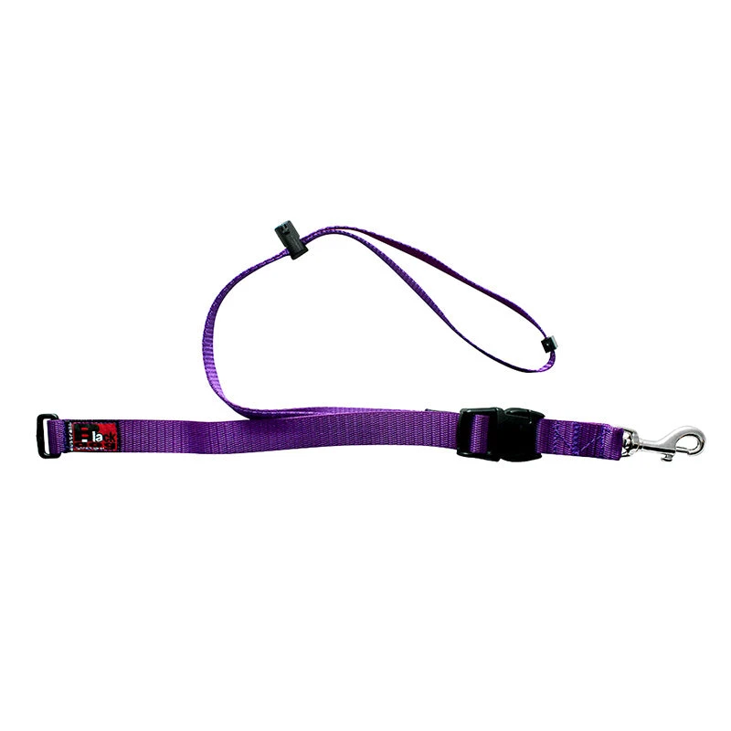 Black Dog Wear Grooming Loop - Single Adjustable 2 Black Dog Wear Grooming Loop - Single Adjustable - Image 2