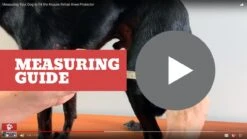 Kruuse Rehab Knee Brace Protector For Dogs 10 Kruuse Rehab Knee Brace Protector For Dogs -Vetn Pet Direct Store 928767