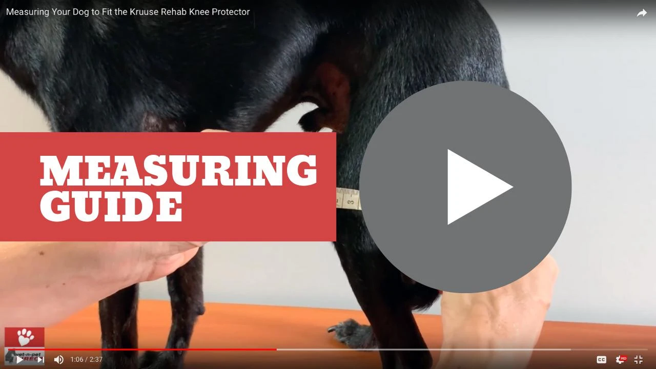 Kruuse Rehab Knee Brace Protector For Dogs 5 Kruuse Rehab Knee Brace Protector For Dogs - Image 5