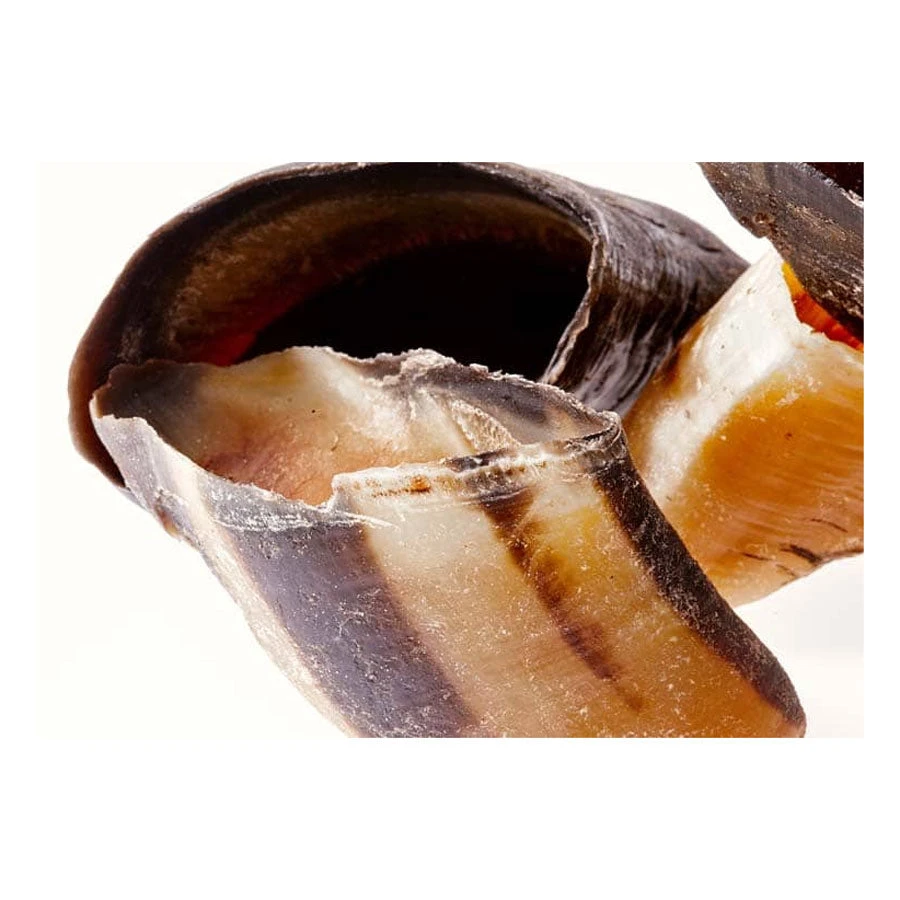 CLEAR Dog Treats Australian Cow Hooves (Unfilled) 2 CLEAR Dog Treats Australian Cow Hooves (Unfilled) - Image 2