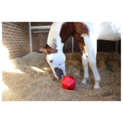 EVO Dripfeed Horse Treat Ball
