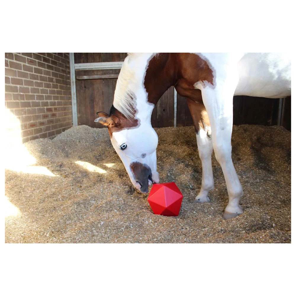 EVO Dripfeed Horse Treat Ball 1 EVO Dripfeed Horse Treat Ball