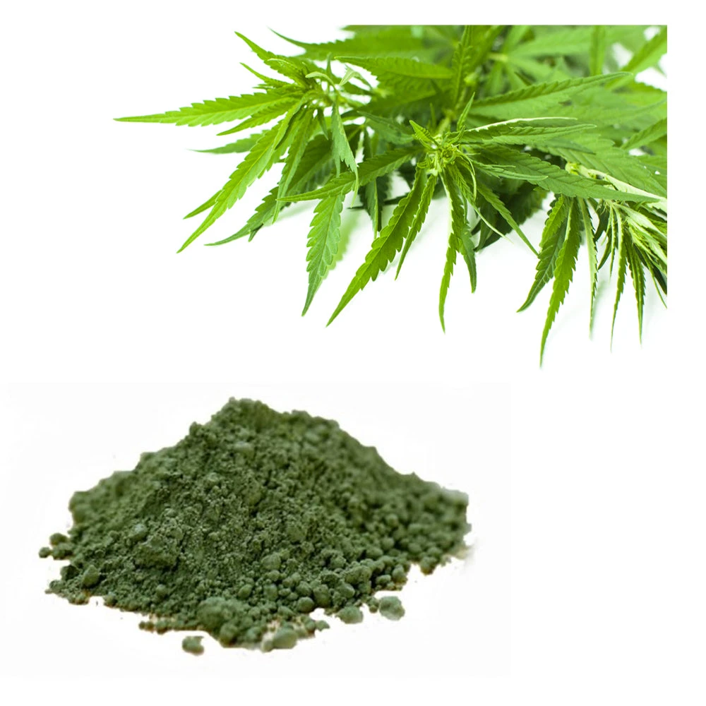 Pawsome Organics Hemp & Seaweed Oil For Dogs & Cats 100mL 2 Pawsome Organics Hemp & Seaweed Oil For Dogs & Cats 100mL - Image 2