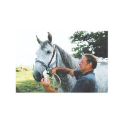 Universal Horse Worming Bit -Vetn Pet Direct Store 962519