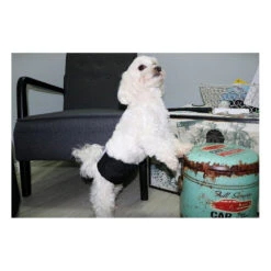ZEEZ Washable Male Wrap 6 ZEEZ Washable Male Wrap -Vetn Pet Direct Store 969273