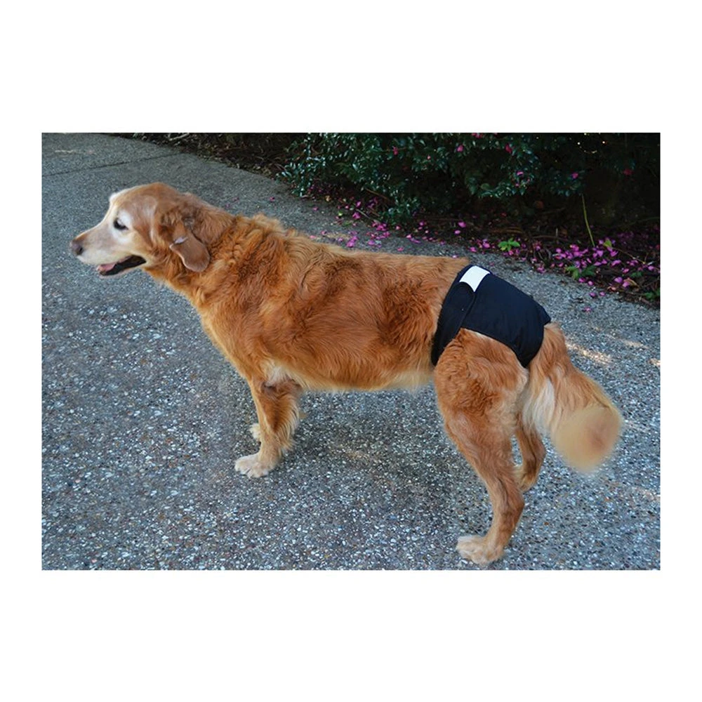 ZEEZ Washable Diaper 3 ZEEZ Washable Diaper - Image 3