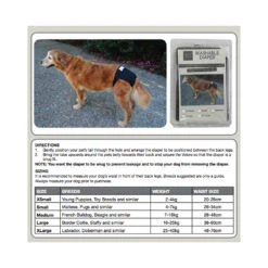 ZEEZ Washable Diaper 7 ZEEZ Washable Diaper -Vetn Pet Direct Store 969280