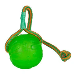 Starmark Swing 'n Fling Chew Ball
