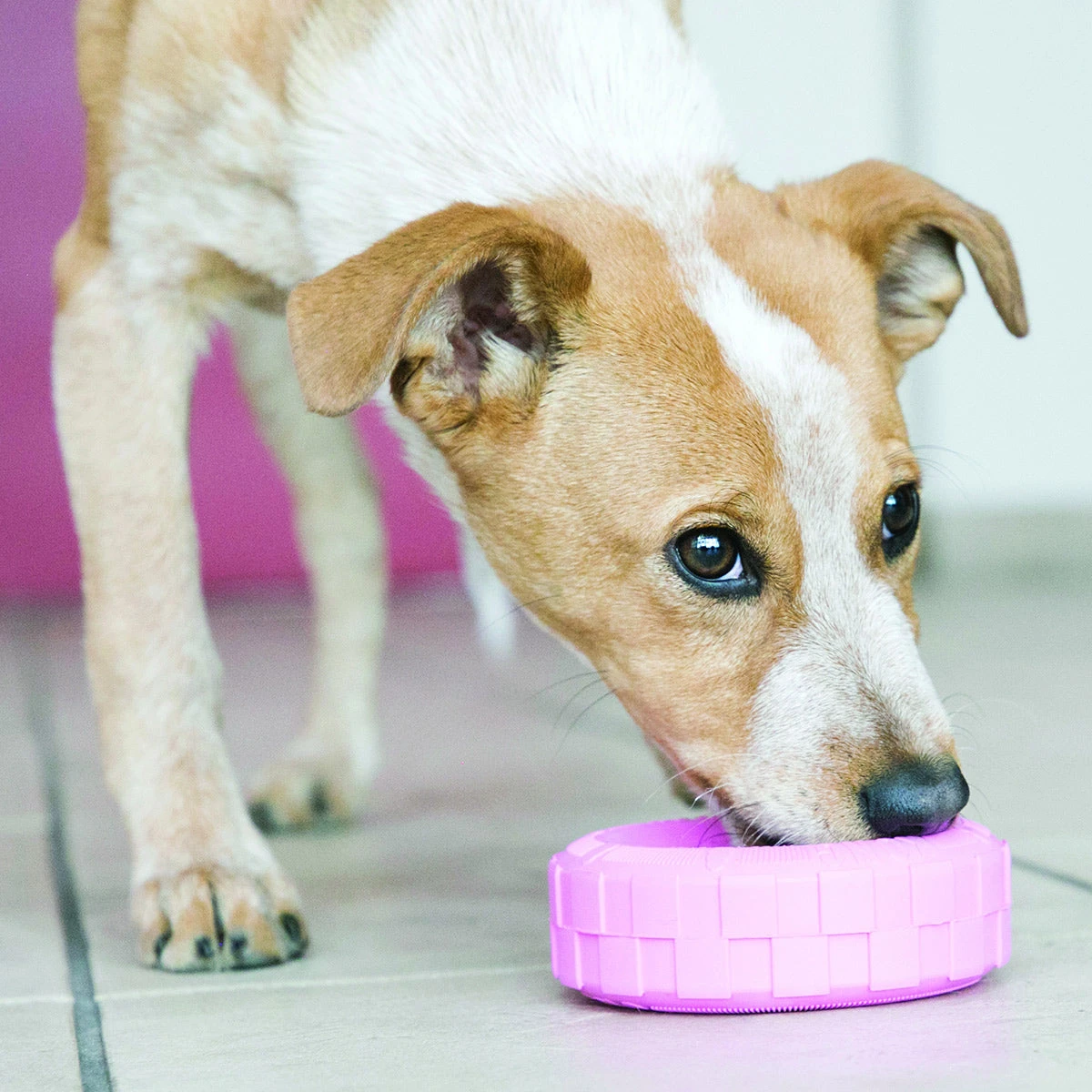 KONG Puppy Tires 4 KONG Puppy Tires - Image 4