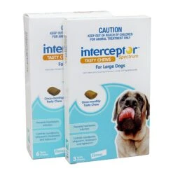 INTERCEPTORSpectrum Chews Blue. Large Dogs 22-45kg