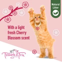 Trouble & Trix Tofu Cherry Blossom Scent Clumping Cat Litter Pellets 10L -Vetn Pet Direct Store AQ545TroubleTrixNaturalPelletsCatLitter 03