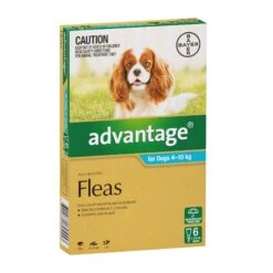 Advantage For Dogs 4kg-10kg -Vetn Pet Direct Store Advantage Fleas For Dogs 4 10kg 6 Pack 0 4web
