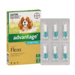 Advantage For Dogs 4kg-10kg -Vetn Pet Direct Store Advantage Fleas For Dogs 4 10kg 6 Pack 7 4web