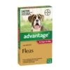 Advantage For Dogs 10-25kg