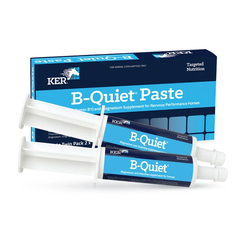KER B-Quiet Paste - 2 X 30g Twin Pack 1 KER B-Quiet Paste - 2 X 30g Twin Pack