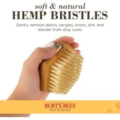 Burt's Bees Palm Bristle Brush For Dogs 9 Burt's Bees Palm Bristle Brush For Dogs -Vetn Pet Direct Store BB palm bristle brush 3