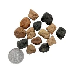 Blackdog Mixed Meat Balls 400g -Vetn Pet Direct Store Black Dog Mixed Meat Balls 400g detail web