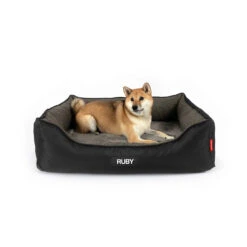 EzyDog 2 In 1 Ortho Smart Dog Bed 21 EzyDog 2 In 1 Ortho Smart Dog Bed -Vetn Pet Direct Store CSL PwD 2in1OrthoSmartBedL