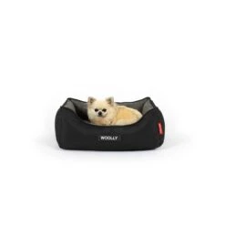 EzyDog 2 In 1 Ortho Smart Dog Bed
