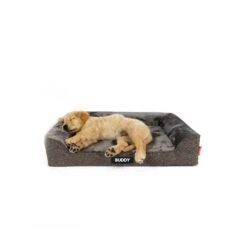 EzyDog Next Gen Ortho Lounger Dog Bed