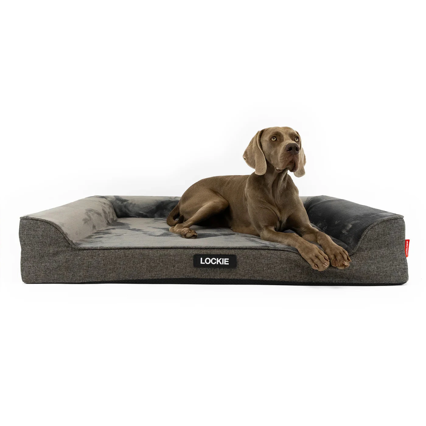 EzyDog Next Gen Ortho Lounger Dog Bed 2 EzyDog Next Gen Ortho Lounger Dog Bed - Image 2