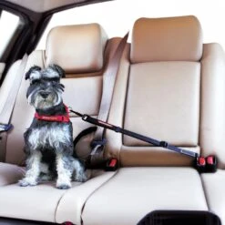 EzyDog Click Adjustable Dog Car Seat Belt -Vetn Pet Direct Store ClickCarRestraint incar