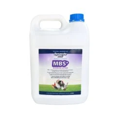 Dynavyte Poultry MBS Microbiome Support -Vetn Pet Direct Store Dynavyte Poultry MBS Microbiome Support 5L 4web