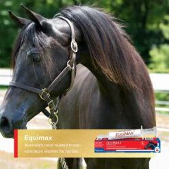 Virbac Equimax Oral Wormer Paste For Horses 35mL 10 Virbac Equimax Oral Wormer Paste For Horses 35mL -Vetn Pet Direct Store Equimax Trusted Lifestyle