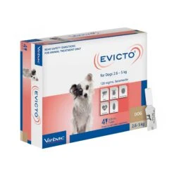 Virbac EVICTO Spot-on For Very Small Dogs 2.6kg-5kg 4's -Vetn Pet Direct Store Evicto Dog 4pk 2 6 5kg Angle web