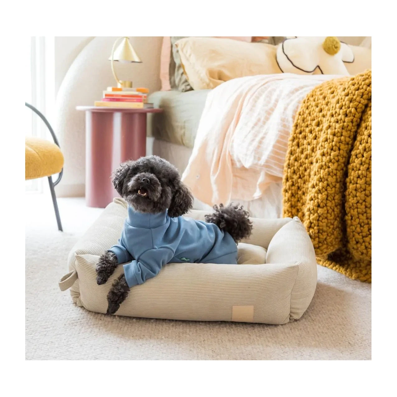 FuzzYard Life Soft Touch Pyjamas - French Blue 3 FuzzYard Life Soft Touch Pyjamas - French Blue - Image 3