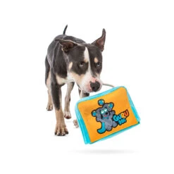 Guru Juggling Fun Box 7 Guru Juggling Fun Box -Vetn Pet Direct Store FunBox.Lifestyle 1220x crop center c3f08669 ddfd 473c 8662 f0f2c2791f1d