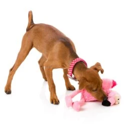 FuzzYard Flo The Flamingo -Vetn Pet Direct Store Fuzzyard Flo Flamingo Lifestyle 1 web